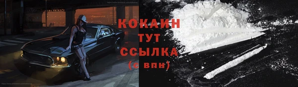 ешки Бородино