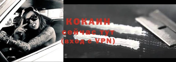 ешки Бородино