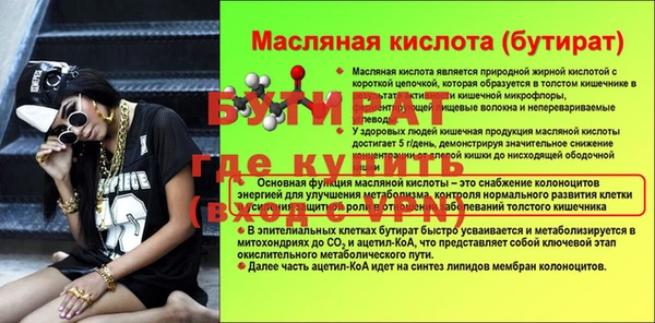ешки Бородино