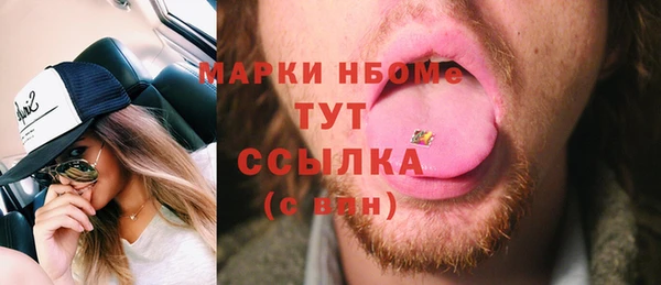 ешки Бородино