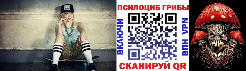 Галлюциногенные грибы Psilocybine cubensis Краснокаменск